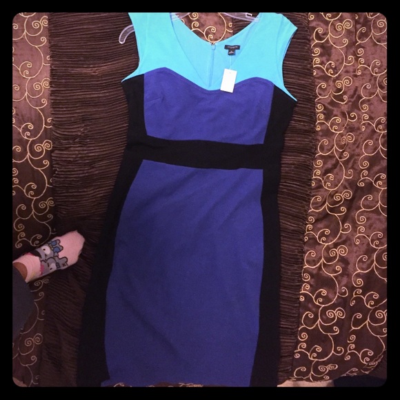 Great color block women's professional dress