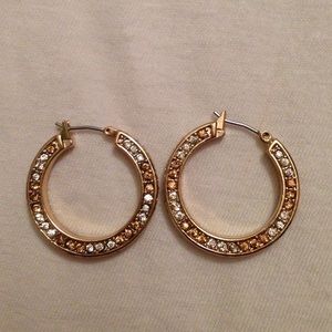 Jewelmint Titan Earrings