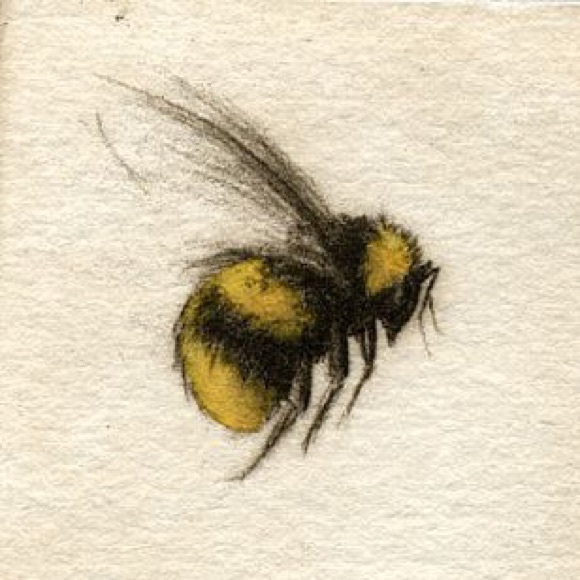 Meet your Posher, Bailey - Picture 1 of 1