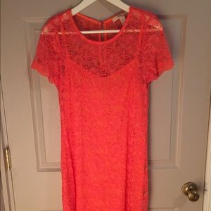 Lace Salmon Dress w/ Slip