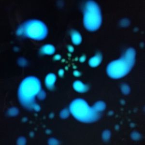 Meet your Posher, Abbey