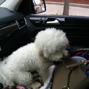 Meet your Posher, Mary