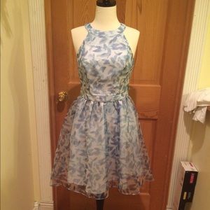 Beautiful Lauren Conrad Cinderella dress