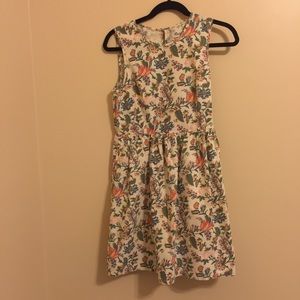 A short above the knee Madewell dress.