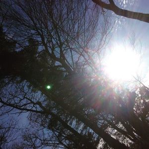 Meet your Posher, Madie