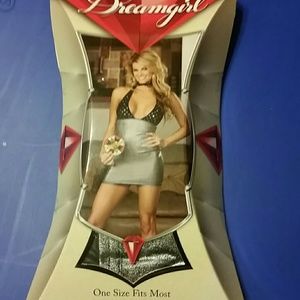 Metallic Silver Babydoll With Matching Thong Set