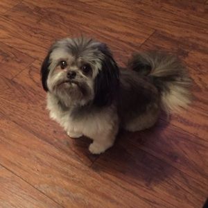 Meet your Posher, Diane