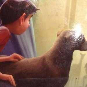 Meet your Posher, Jesse