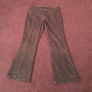 BandolinoBlu Arianna Bootcut Brown Corduroys