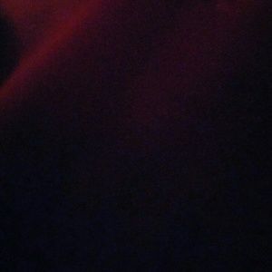 Meet your Posher, Gloria