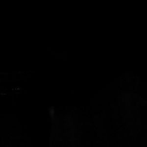 Meet your Posher, Shan