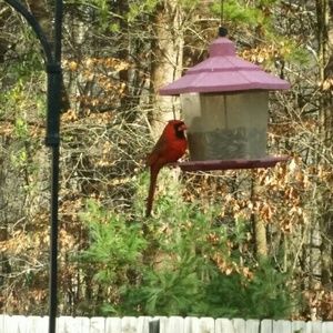 Meet your Posher, Ammie