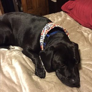 Meet your Posher, Alexa