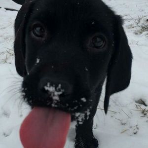 Meet your Posher, Jordan