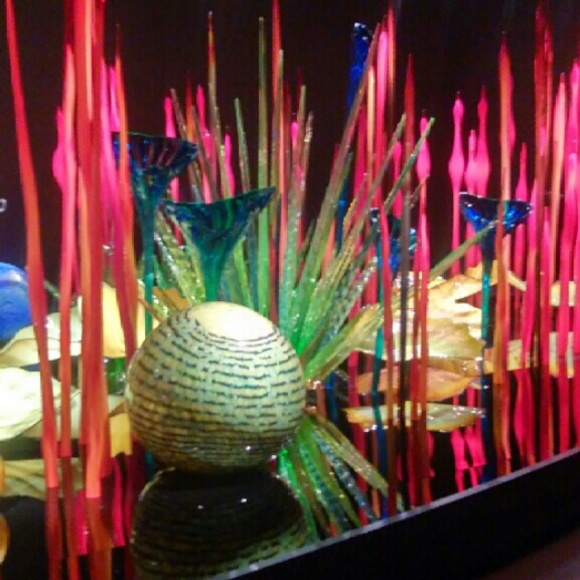 Meet your Posher, Cecilia