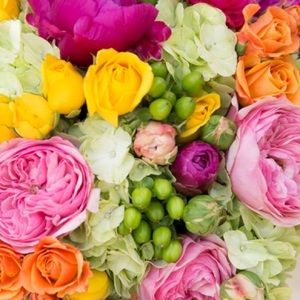 Meet your Posher, Bailey