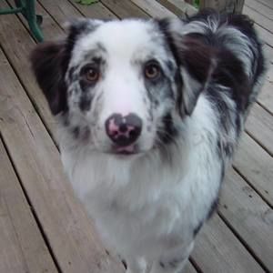 Meet your Posher, Marsha