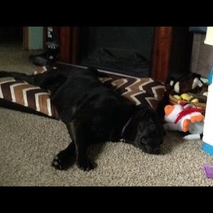 Meet your Posher, Keisha