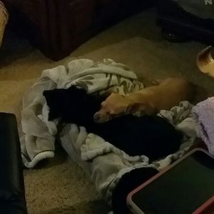 Meet your Posher, Denice