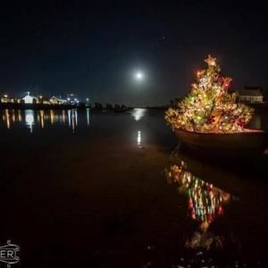 Meet your Posher, Gusty