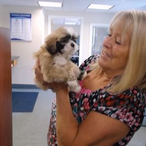 Meet your Posher, Sandra