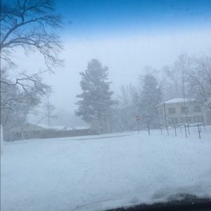 Meet your Posher, Penny