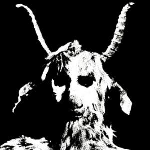 Meet your Posher, Marlene