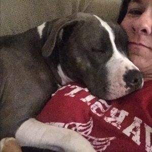 Meet your Posher, Jill