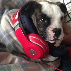 Meet your Posher, Antonio