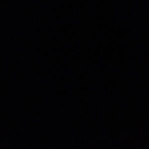 Meet your Posher, Tracee