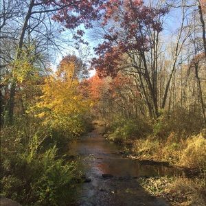 Meet your Posher, Janet