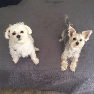 Meet your Posher, Myles