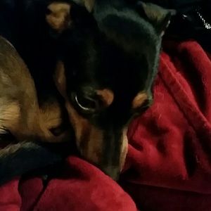 Meet your Posher, Misty