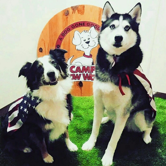 Meet your Poshers, Chris & Amaria - Picture 4 of 8