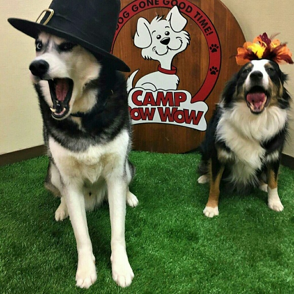 Meet your Poshers, Chris & Amaria - Picture 5 of 8