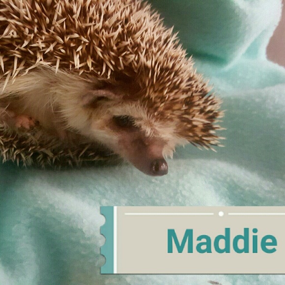 Meet your Poshers, Chris & Amaria - Picture 6 of 8