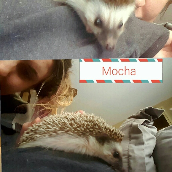 Meet your Poshers, Chris & Amaria - Picture 7 of 8