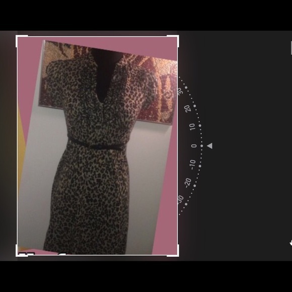 Leopard dress - Picture 1 of 1