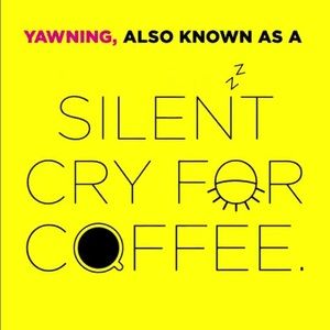 Meet your Posher, Iris