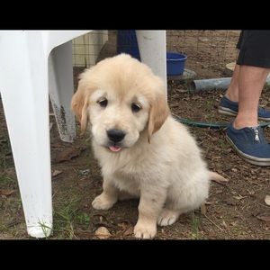 Meet your Posher, Marinka