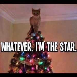 Meet your Posher, Braelinn