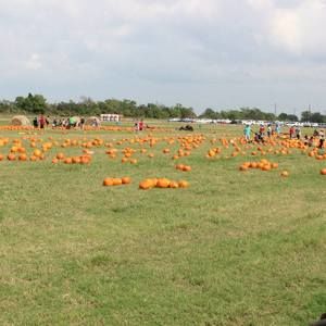 Meet your Posher, Sally