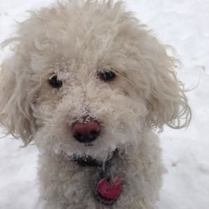 Meet your Posher, Tammy