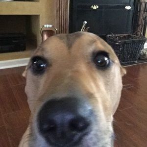 Meet your Posher, Chris