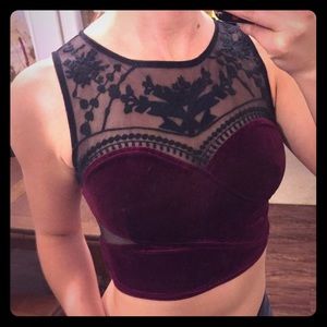 Velour sheer crop top