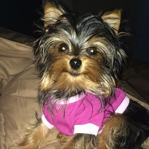 Meet your Posher, Rachelle