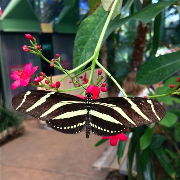 FOLLOW GAME 👗👠❤️👡👛👝💍 - Picture 2 of 10