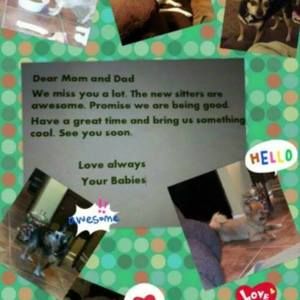 Meet your Posher, Terry