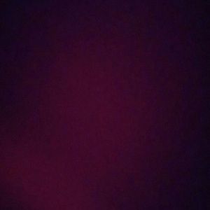 Meet your Posher, Leila