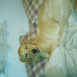 Meet your Posher, Lynette